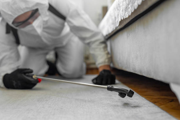 Professional Mosquito Control technician working in Durango, CO