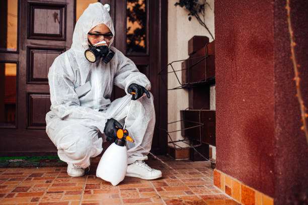Reliable Mosquito Control contractor in Durango, CO by Nex Pest Control